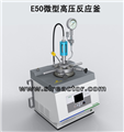 E50 micro high pressure reaction kettle